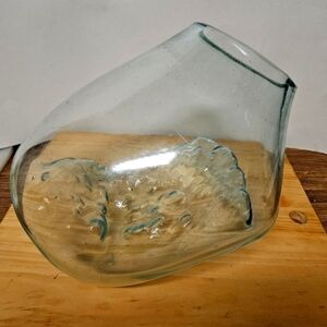 Hand-Blown Molten Glass Terrarium/Vase